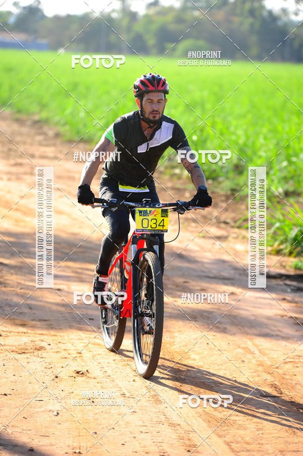 Buy your photos of the eventWolf Series - Botucatu on Fotop
