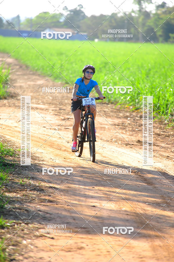 Buy your photos of the eventWolf Series - Botucatu on Fotop