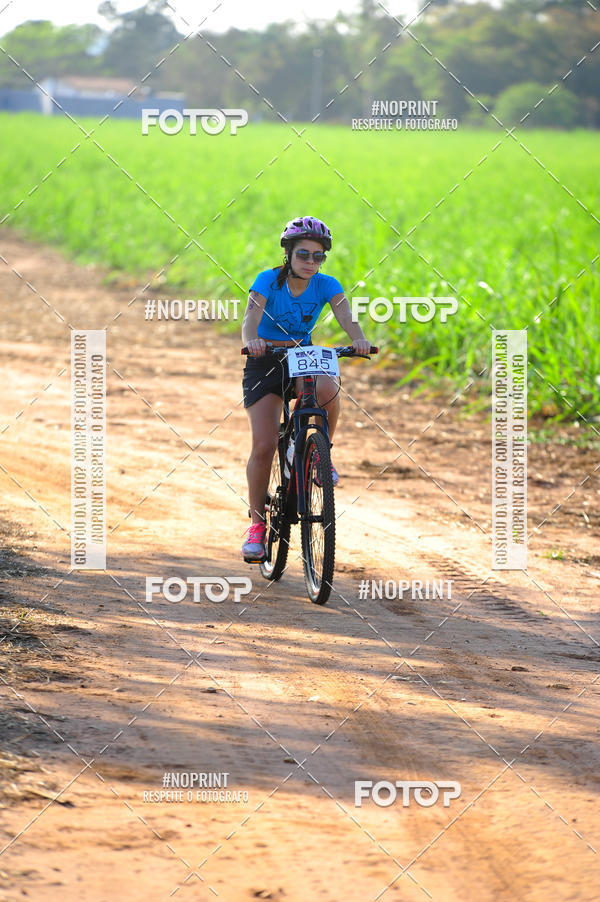 Buy your photos of the eventWolf Series - Botucatu on Fotop
