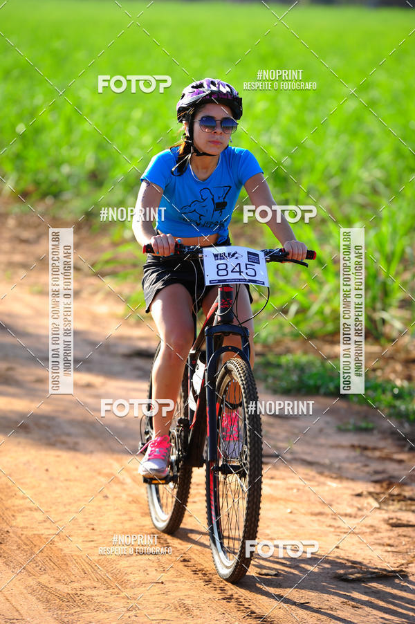 Buy your photos of the eventWolf Series - Botucatu on Fotop