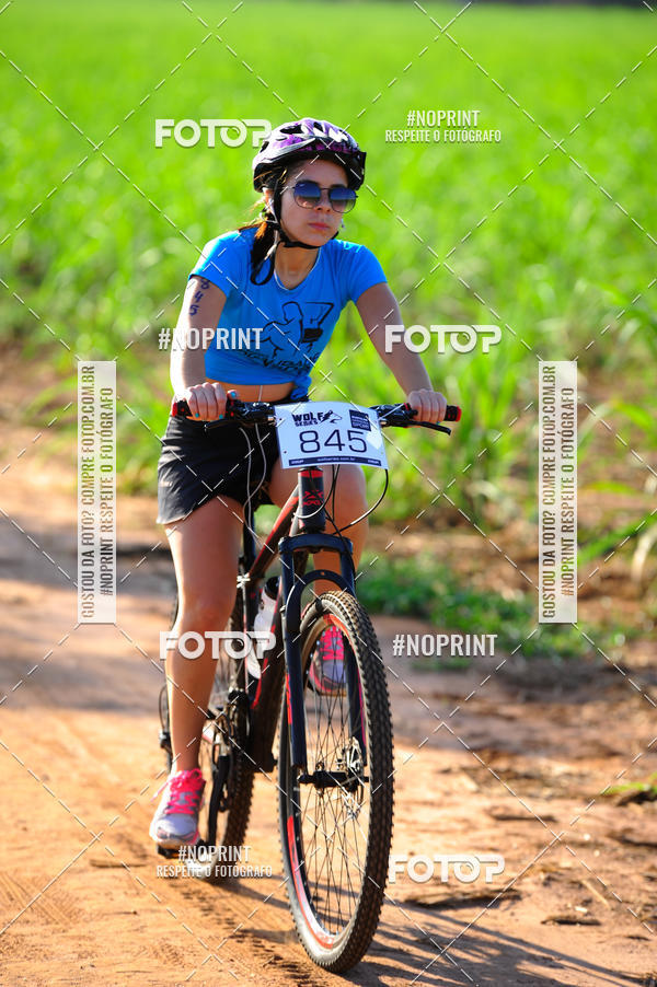 Buy your photos of the eventWolf Series - Botucatu on Fotop