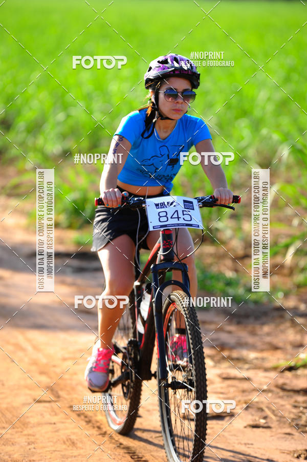 Buy your photos of the eventWolf Series - Botucatu on Fotop