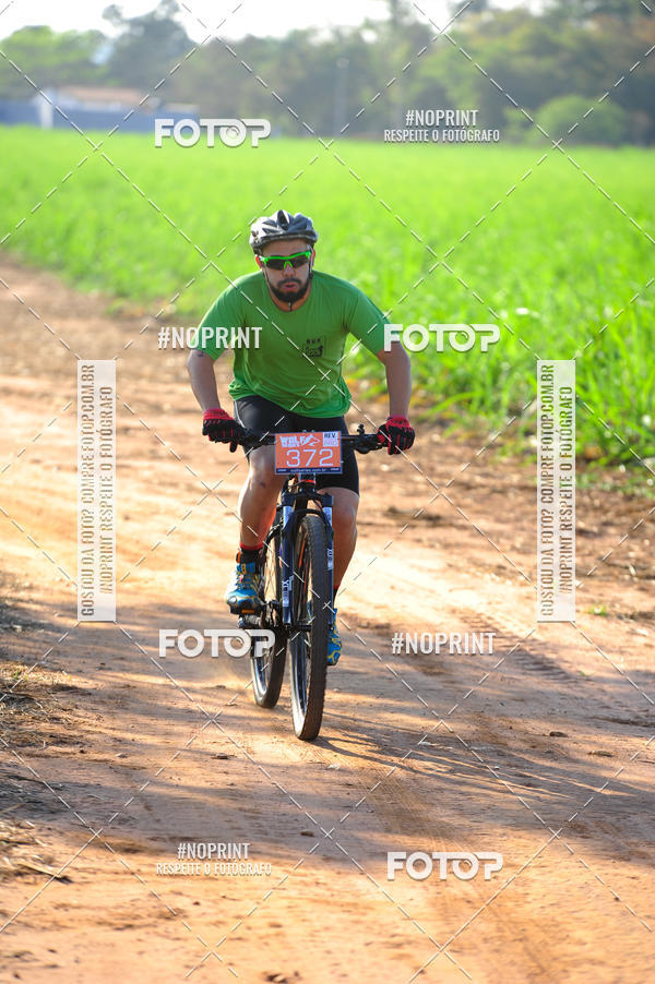 Buy your photos of the eventWolf Series - Botucatu on Fotop