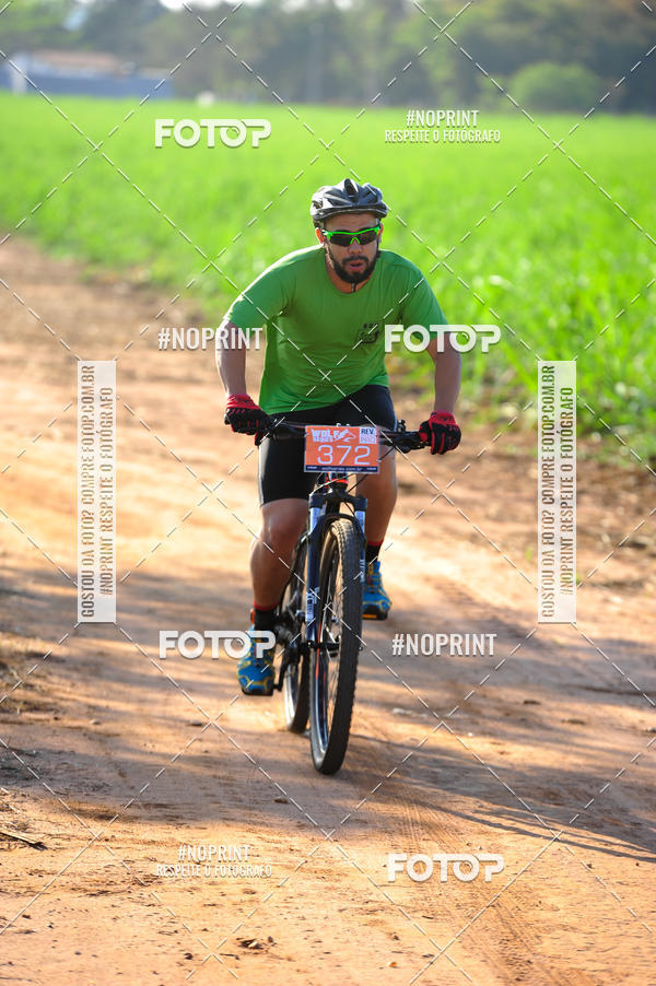 Buy your photos of the eventWolf Series - Botucatu on Fotop