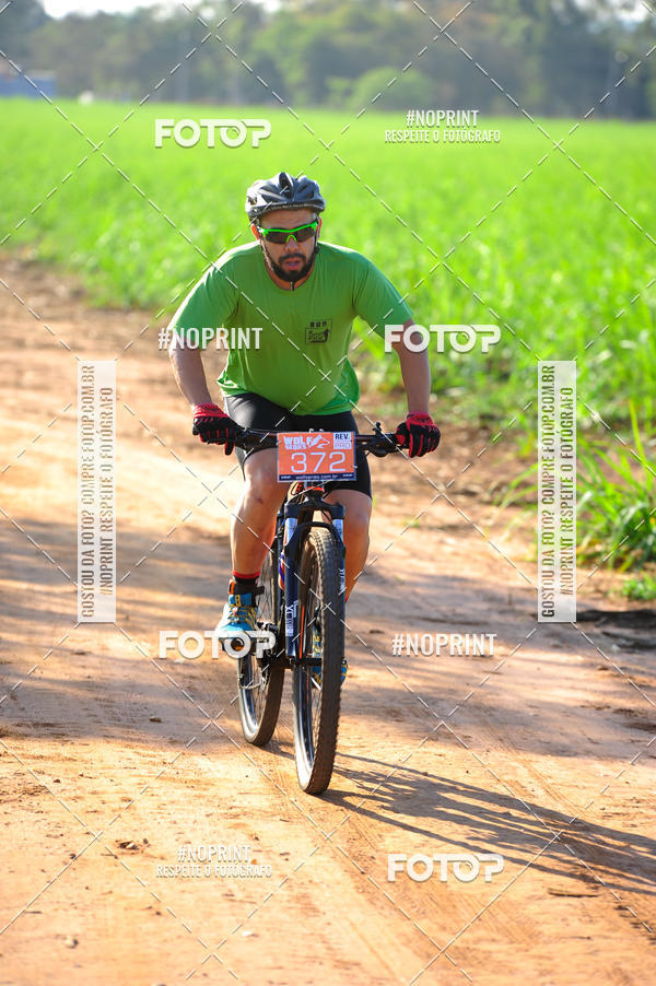 Buy your photos of the eventWolf Series - Botucatu on Fotop