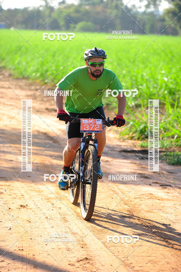 Buy your photos of the eventWolf Series - Botucatu on Fotop