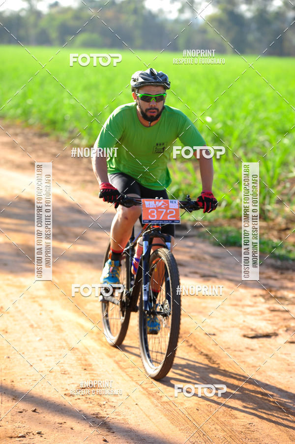 Buy your photos of the eventWolf Series - Botucatu on Fotop