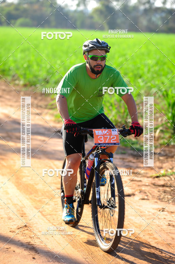 Buy your photos of the eventWolf Series - Botucatu on Fotop