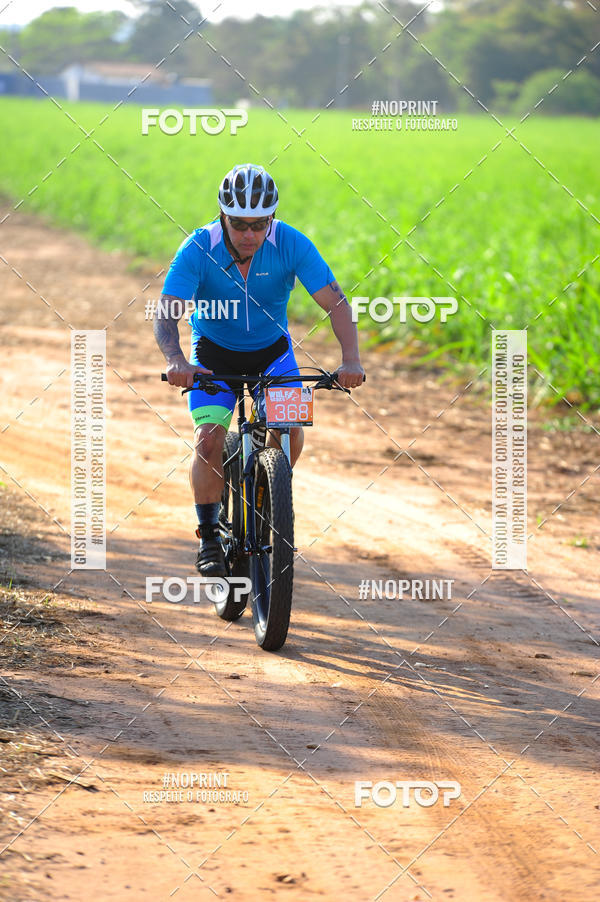 Buy your photos of the eventWolf Series - Botucatu on Fotop