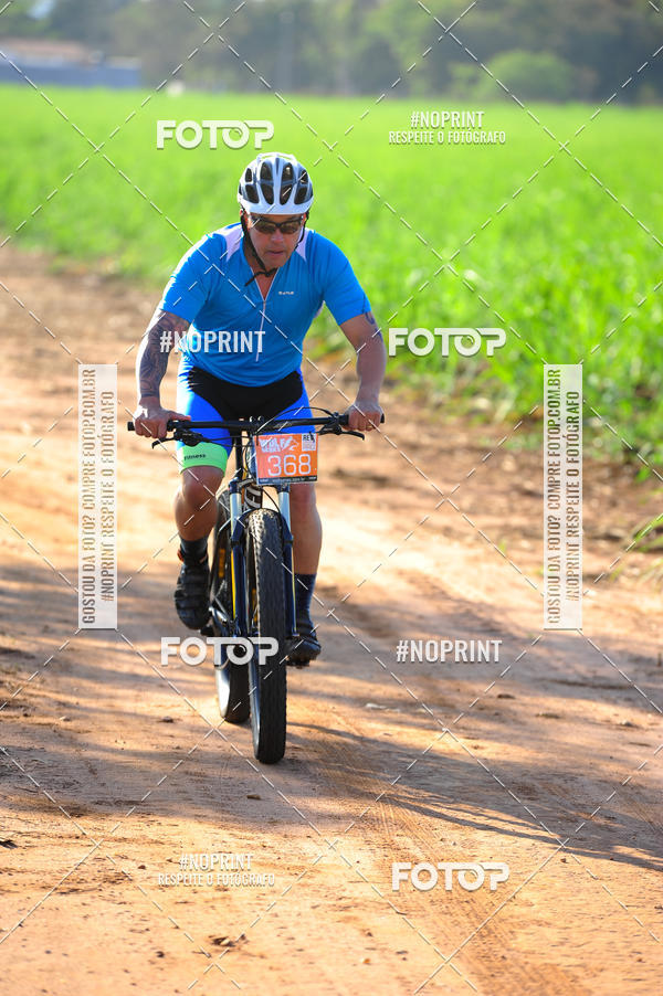 Buy your photos of the eventWolf Series - Botucatu on Fotop