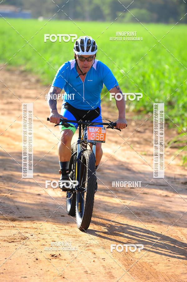Buy your photos of the eventWolf Series - Botucatu on Fotop