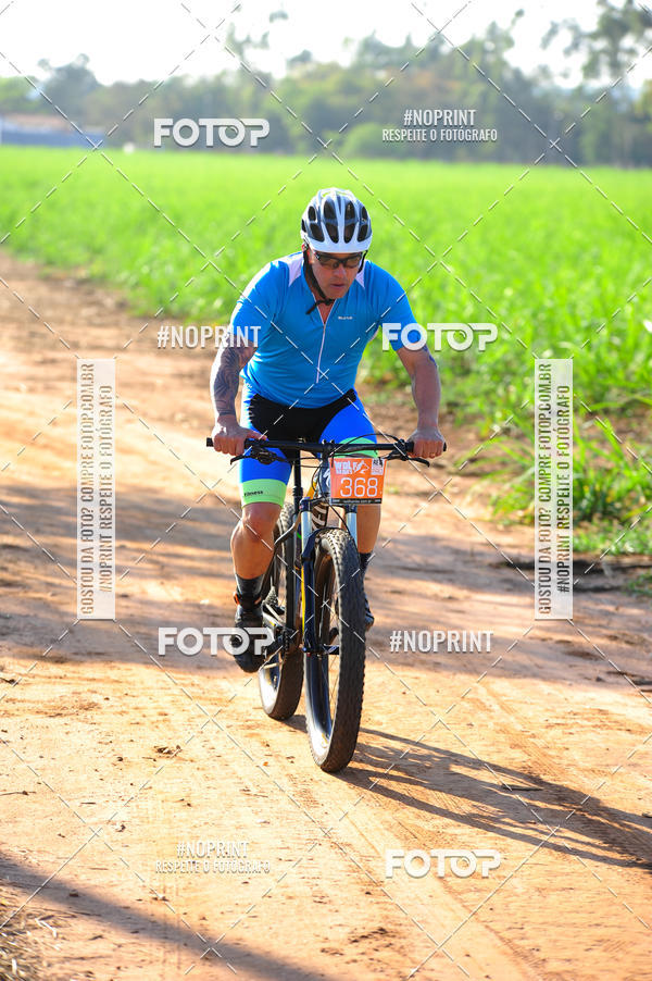 Buy your photos of the eventWolf Series - Botucatu on Fotop
