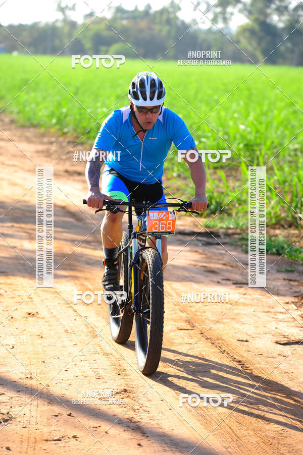 Buy your photos of the eventWolf Series - Botucatu on Fotop