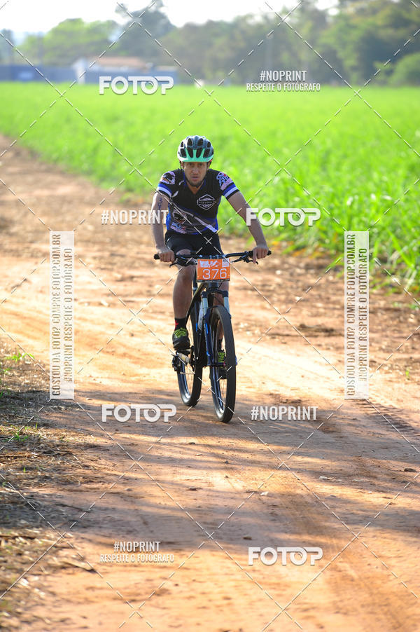 Buy your photos of the eventWolf Series - Botucatu on Fotop