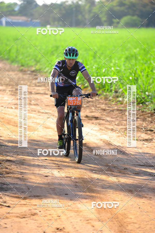 Buy your photos of the eventWolf Series - Botucatu on Fotop