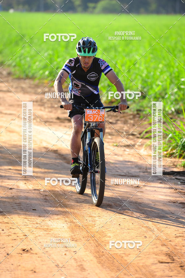 Buy your photos of the eventWolf Series - Botucatu on Fotop