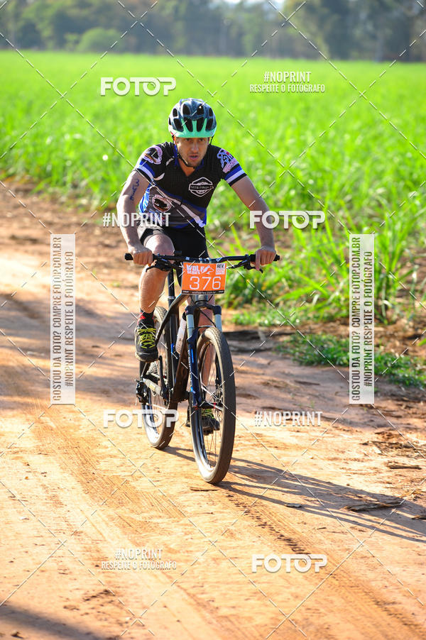 Buy your photos of the eventWolf Series - Botucatu on Fotop