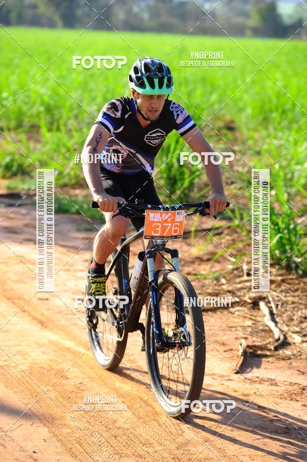 Buy your photos of the eventWolf Series - Botucatu on Fotop