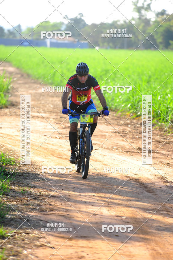 Buy your photos of the eventWolf Series - Botucatu on Fotop
