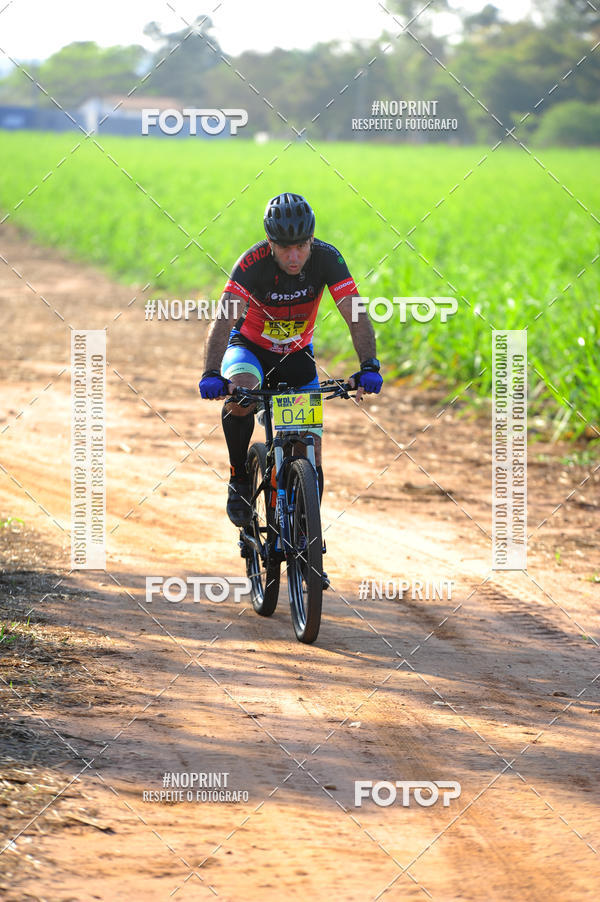 Buy your photos of the eventWolf Series - Botucatu on Fotop
