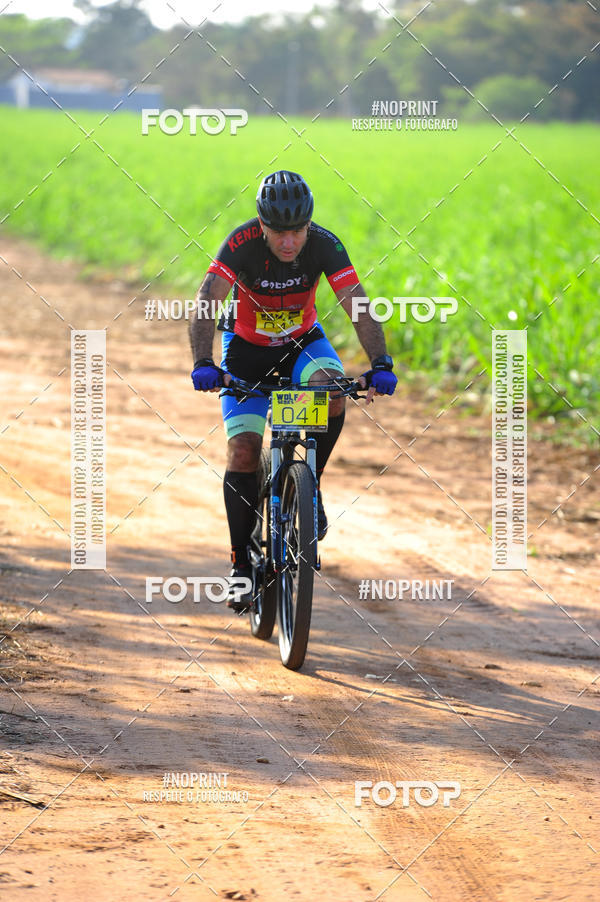 Buy your photos of the eventWolf Series - Botucatu on Fotop