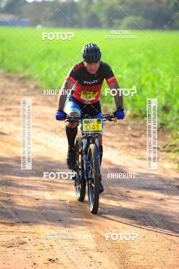Buy your photos of the eventWolf Series - Botucatu on Fotop