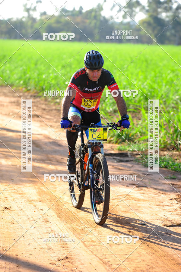 Buy your photos of the eventWolf Series - Botucatu on Fotop