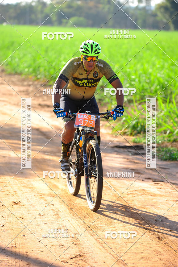 Buy your photos of the eventWolf Series - Botucatu on Fotop