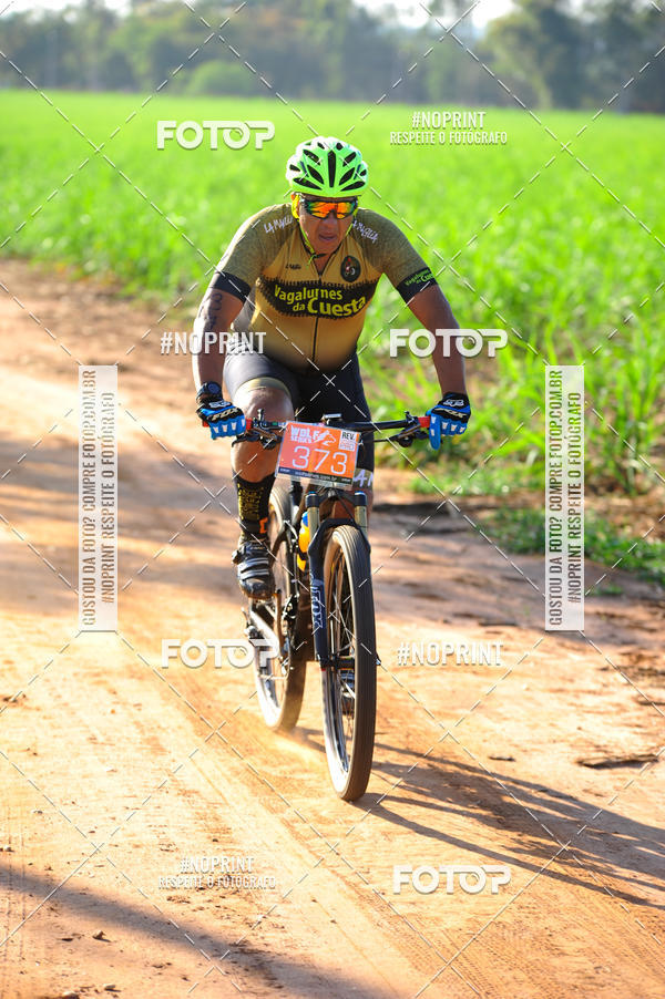 Buy your photos of the eventWolf Series - Botucatu on Fotop