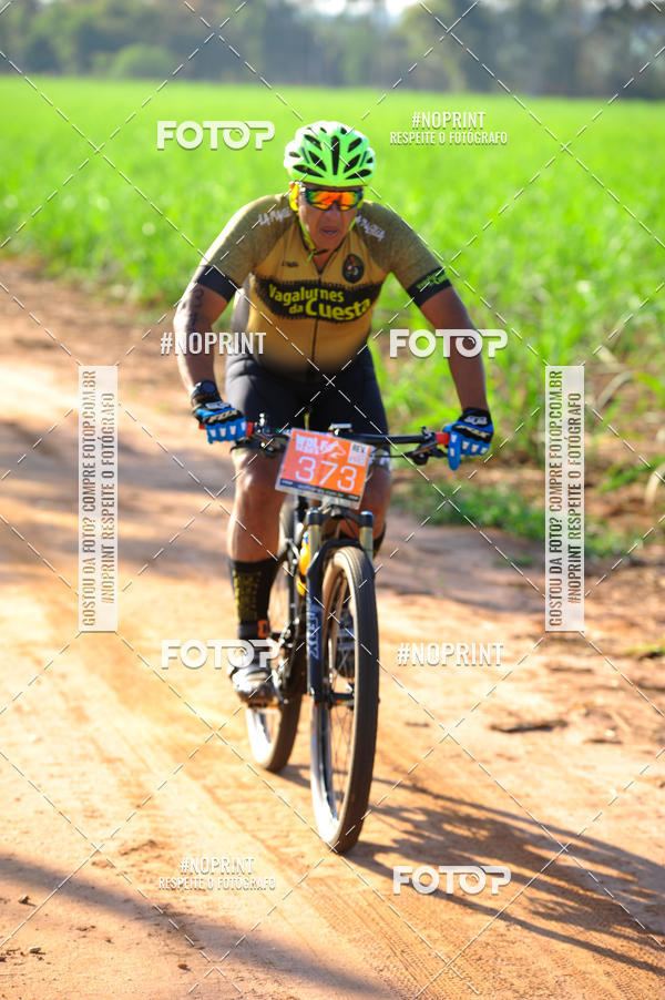 Buy your photos of the eventWolf Series - Botucatu on Fotop