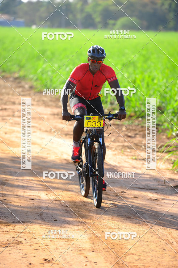 Buy your photos of the eventWolf Series - Botucatu on Fotop