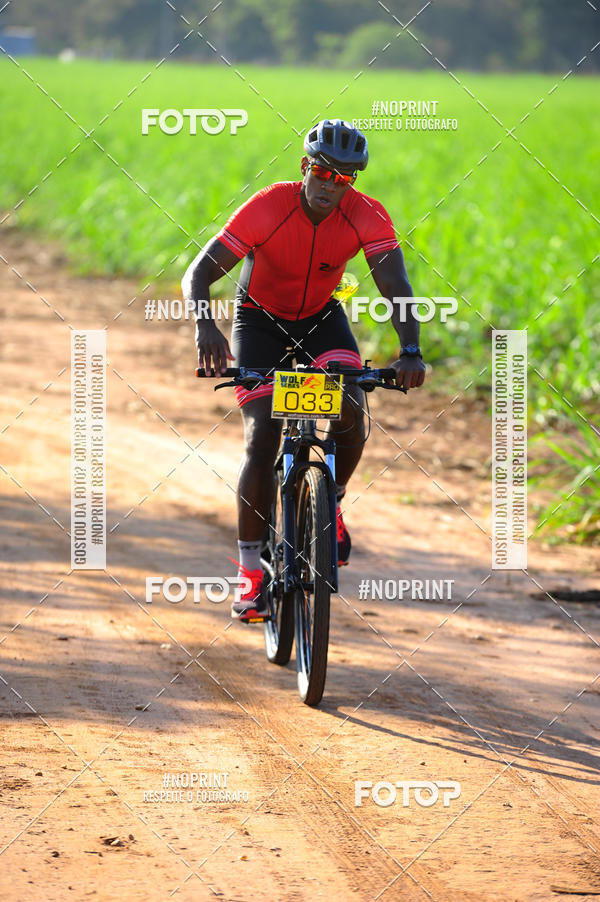Buy your photos of the eventWolf Series - Botucatu on Fotop