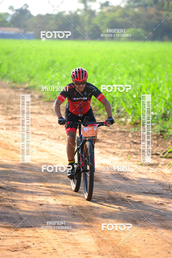 Buy your photos of the eventWolf Series - Botucatu on Fotop