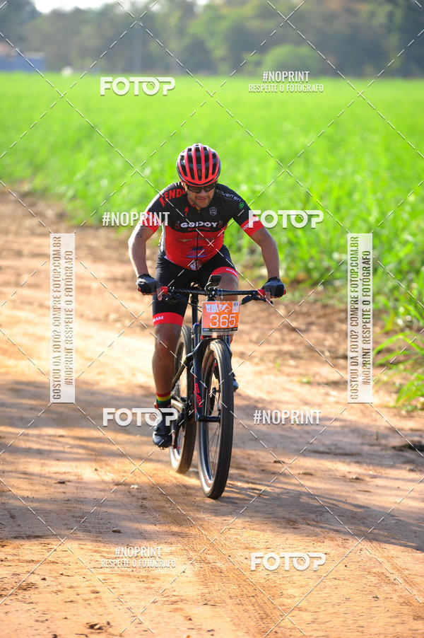 Buy your photos of the eventWolf Series - Botucatu on Fotop
