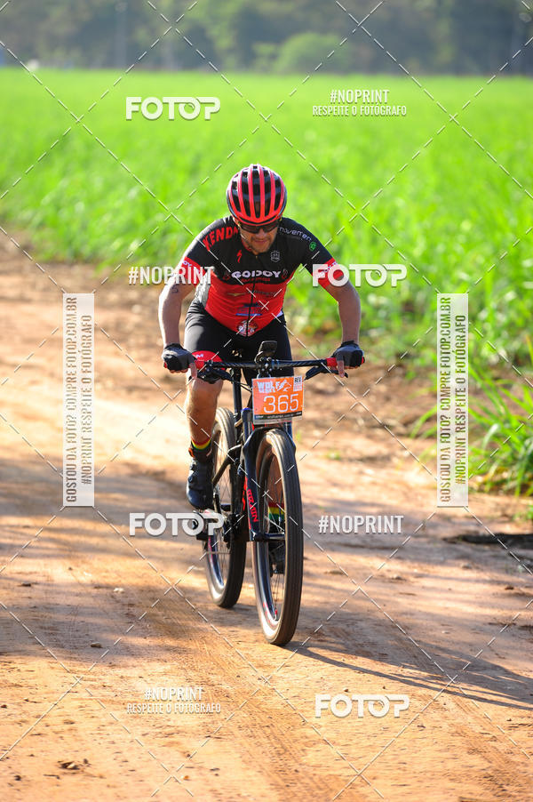 Buy your photos of the eventWolf Series - Botucatu on Fotop