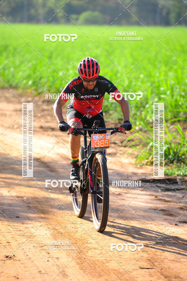 Buy your photos of the eventWolf Series - Botucatu on Fotop