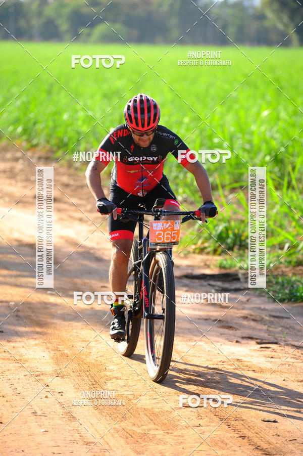 Buy your photos of the eventWolf Series - Botucatu on Fotop