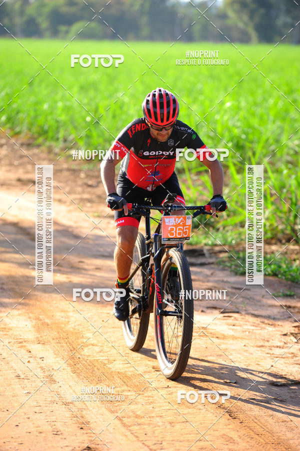 Buy your photos of the eventWolf Series - Botucatu on Fotop