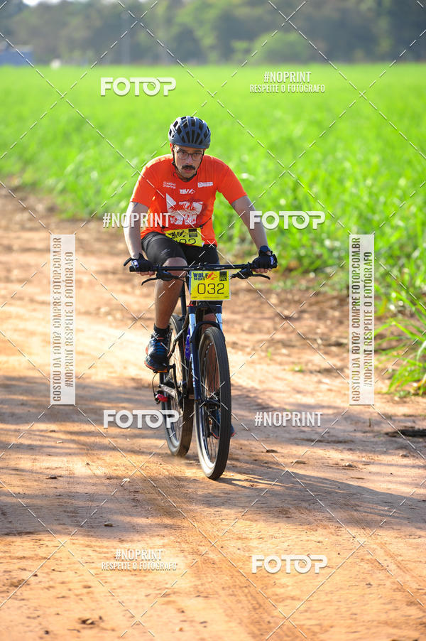 Buy your photos of the eventWolf Series - Botucatu on Fotop