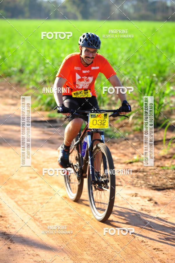 Buy your photos of the eventWolf Series - Botucatu on Fotop