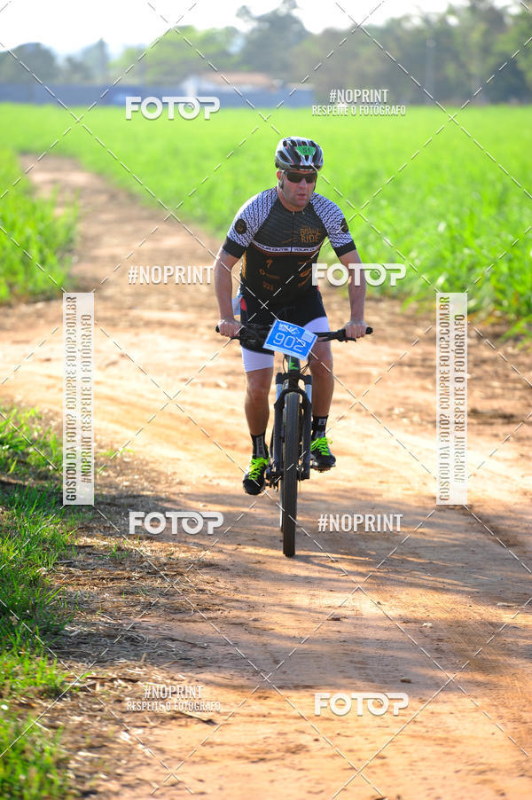 Buy your photos of the eventWolf Series - Botucatu on Fotop