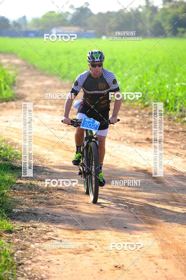 Buy your photos of the eventWolf Series - Botucatu on Fotop