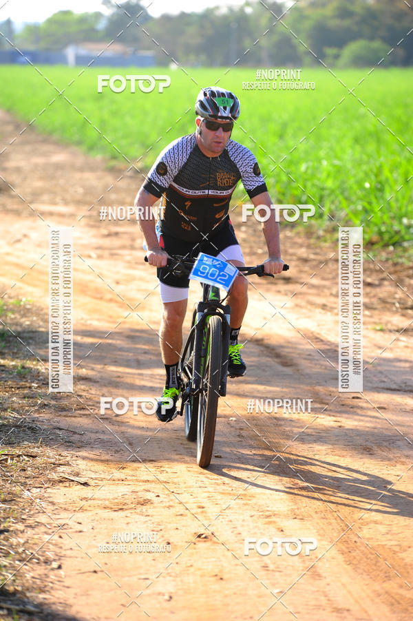 Buy your photos of the eventWolf Series - Botucatu on Fotop