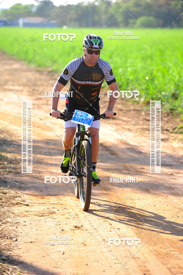 Buy your photos of the eventWolf Series - Botucatu on Fotop