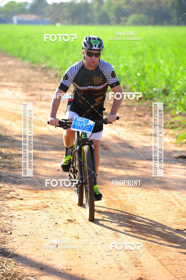 Buy your photos of the eventWolf Series - Botucatu on Fotop