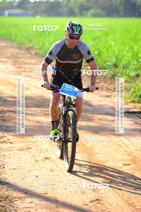 Buy your photos of the eventWolf Series - Botucatu on Fotop