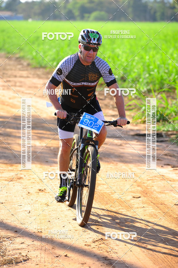 Buy your photos of the eventWolf Series - Botucatu on Fotop