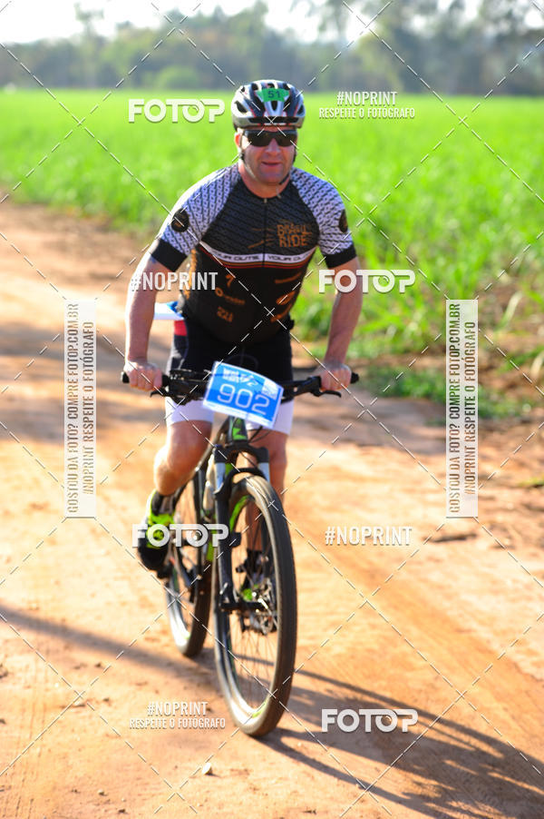 Buy your photos of the eventWolf Series - Botucatu on Fotop
