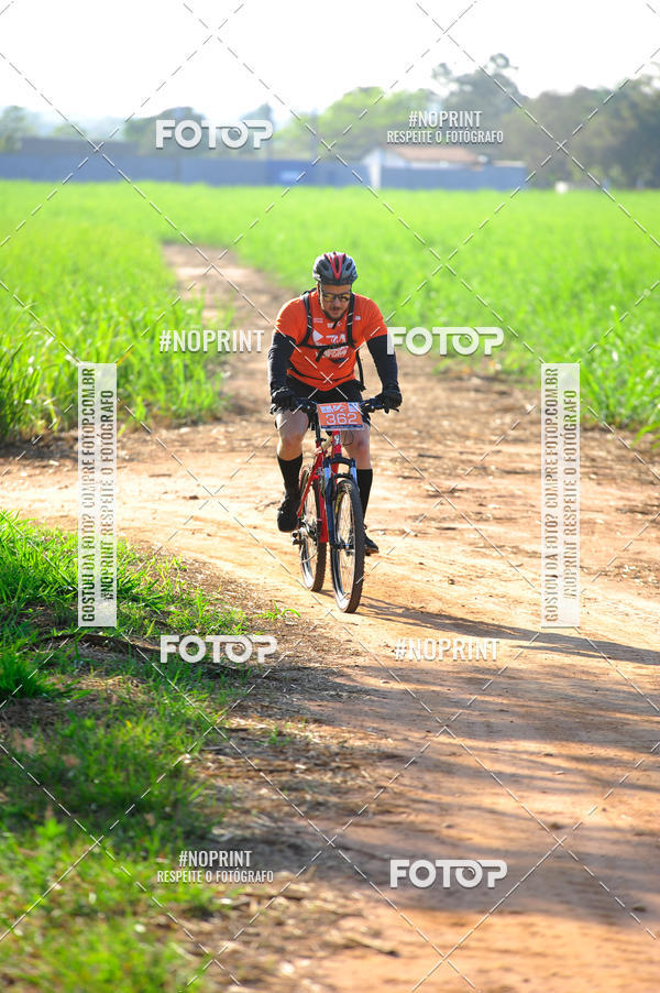 Buy your photos of the eventWolf Series - Botucatu on Fotop