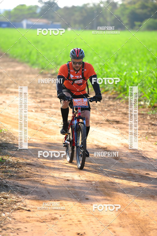 Buy your photos of the eventWolf Series - Botucatu on Fotop